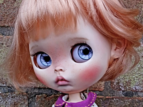 Custom Blythe doll Eva, Art Collectors Doll